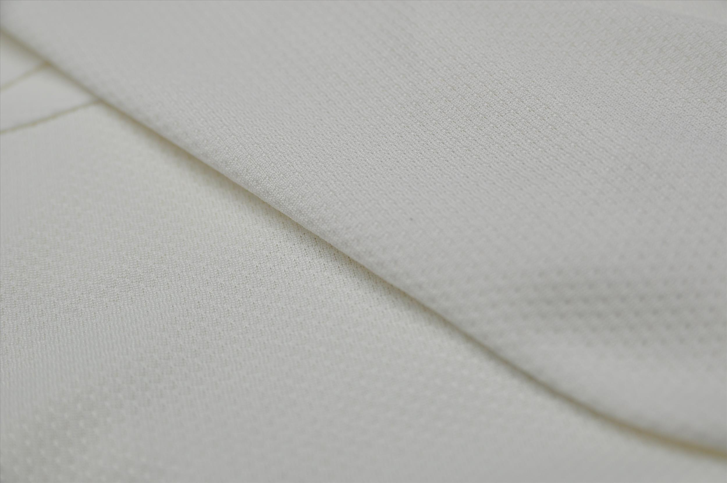 鳥眼布  BE0239